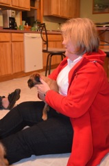 Lynn & Steve - Puppy Rescue 2012 - 01