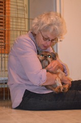 Lynn & Steve - Puppy Rescue 2012 - 12